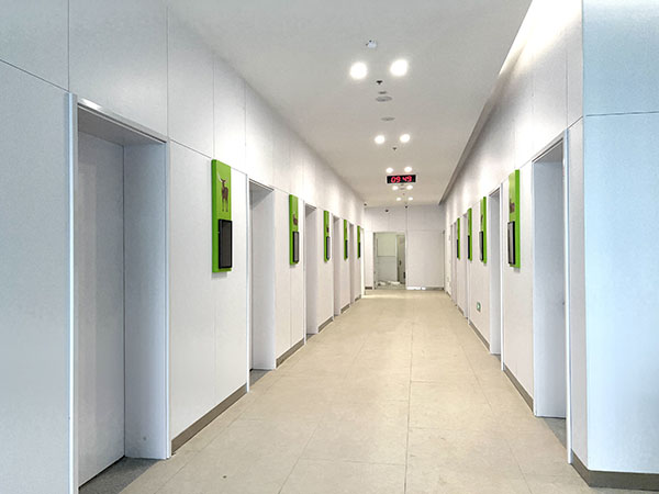 威龍兒童醫(yī)院案例